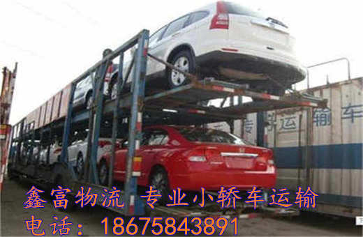 安徽利辛县 安徽利辛县